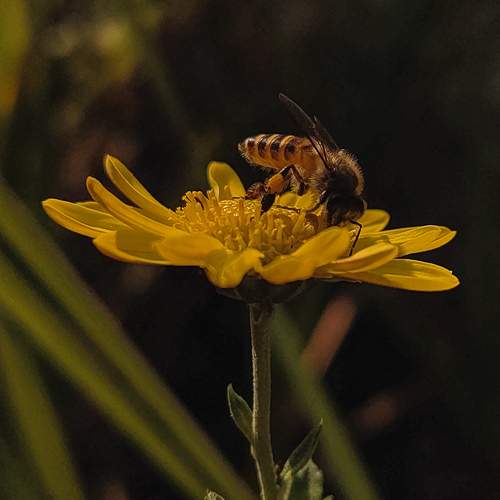 Photo #12206673