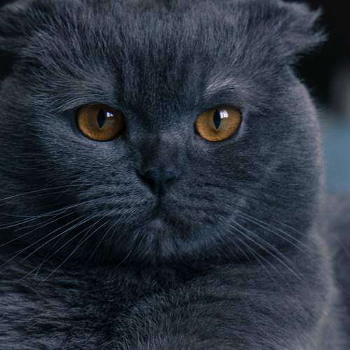 Photo #12206686