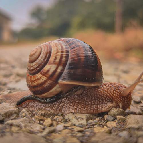 Photo #12206690