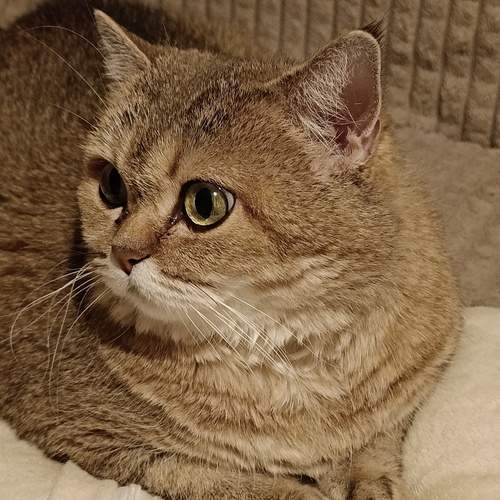 Photo #12206694