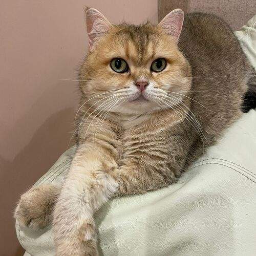 Photo #12206699