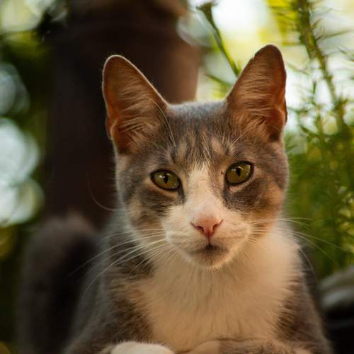 Фотография #12206714