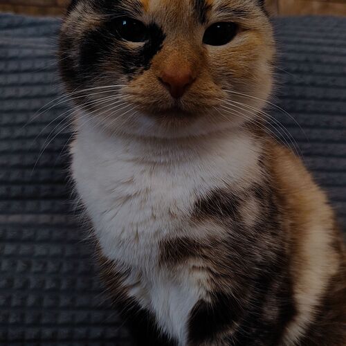 Photo #12206780