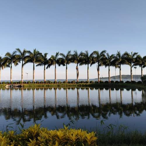 Photo #12206905