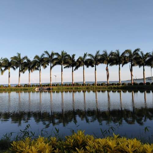 Photo #12206906