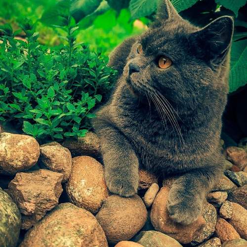 Photo #12206926