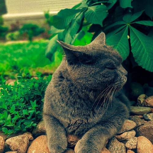 Photo #12206927