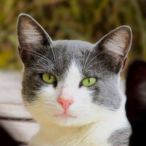 Photo #12207102