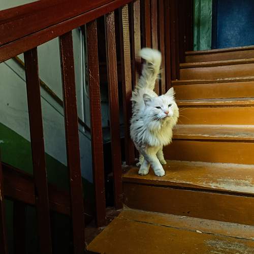 Photo #12207172