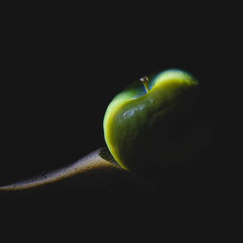 Photo #12207351