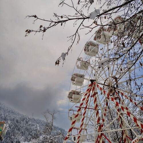 Photo #12207658
