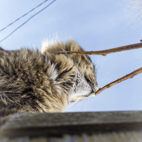 Photo #12207835