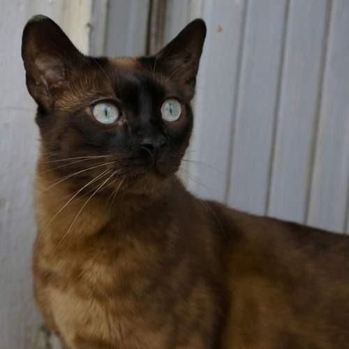 Photo #12207928