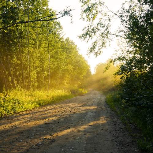 Photo #12207968
