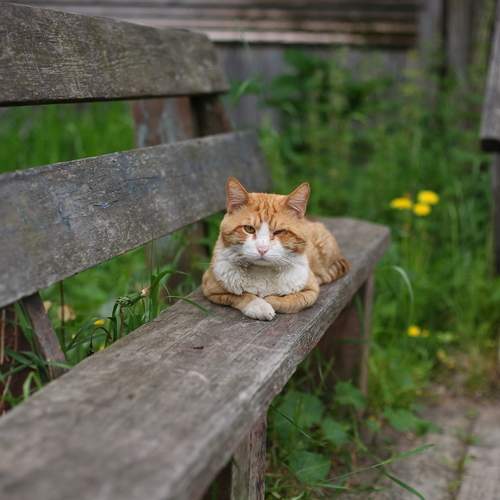 Photo #12208152