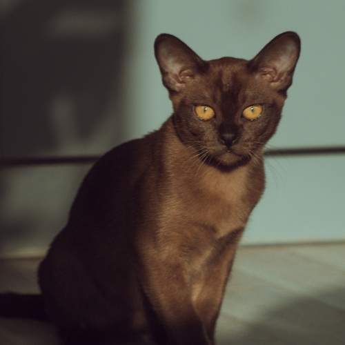 Photo #12208197