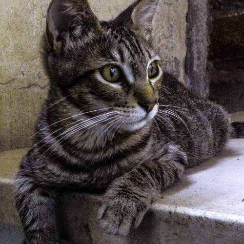 Photo #12208330