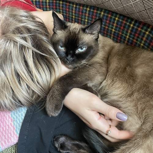 Photo #12208354