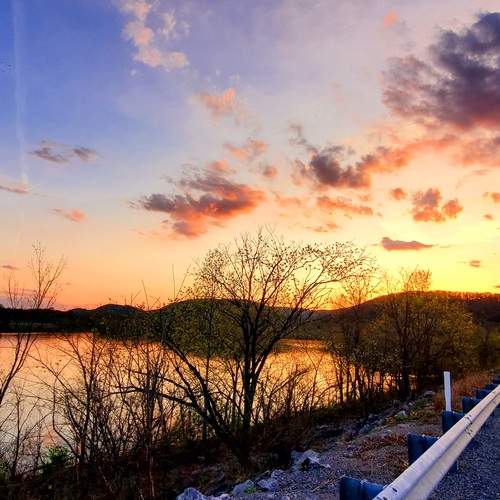 Photo #12208447
