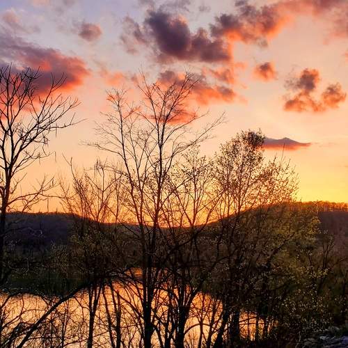 Photo #12208448
