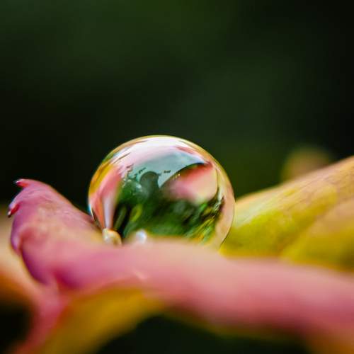 Photo #12208541