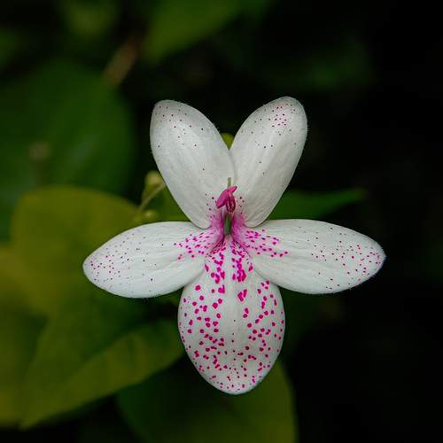 Photo #12208545
