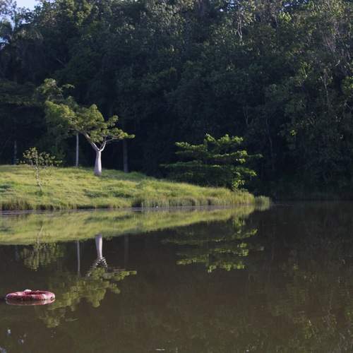 Photo #12208644