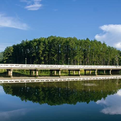 Photo #12208646