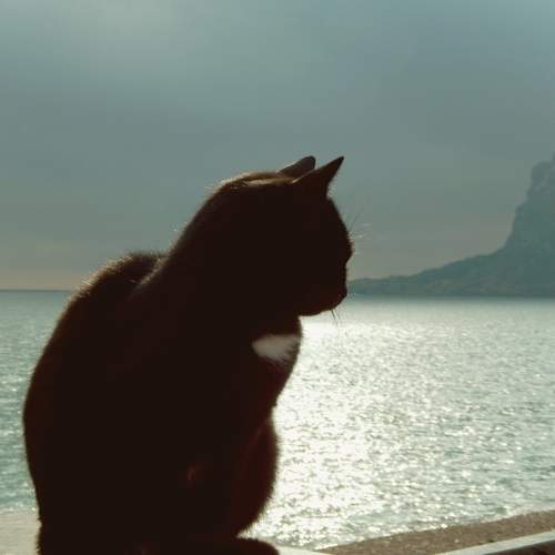 Photo #12208673