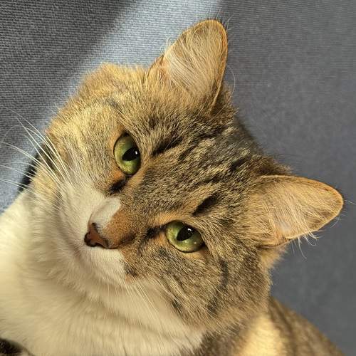 Photo #12208806