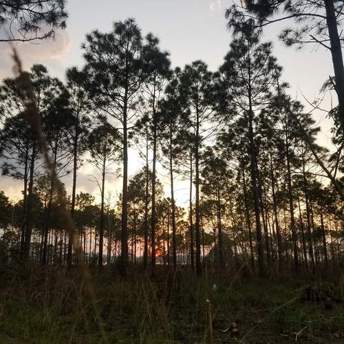 Photo #12208920