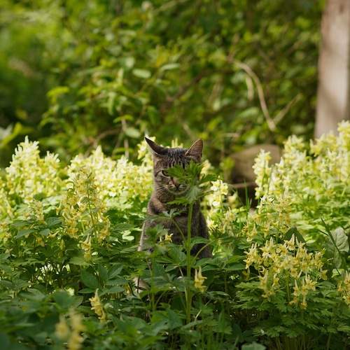 Photo #12208964