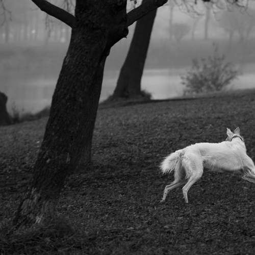 Photo #12208966