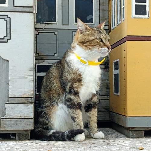 Photo #12209252