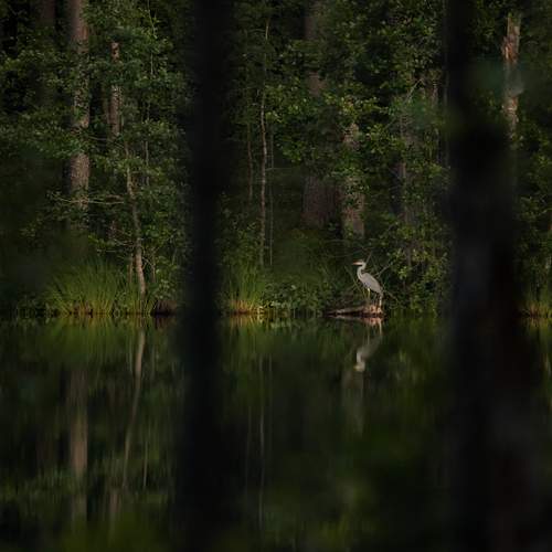Photo #12209367