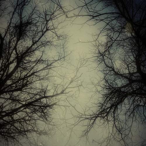 Photo #12209457
