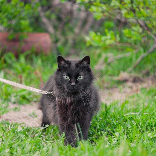 Photo #12209459
