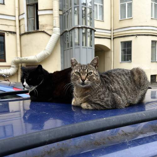 Photo #12209535