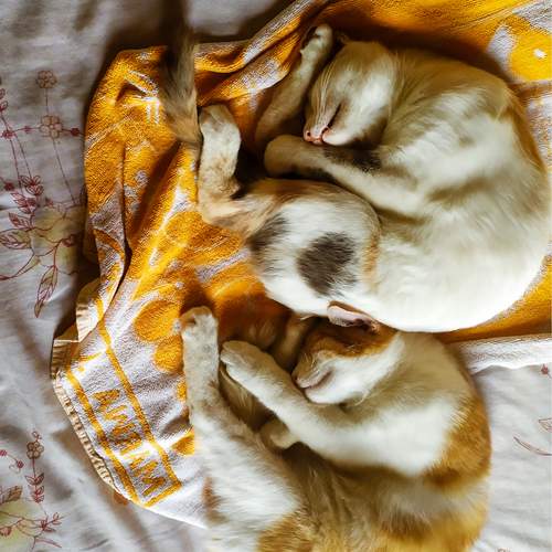 Photo #12209559