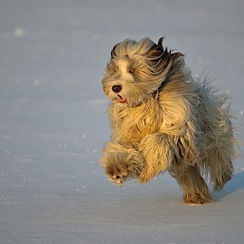 Photo #12209694