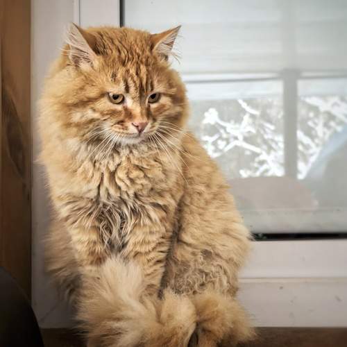 Photo #12209740