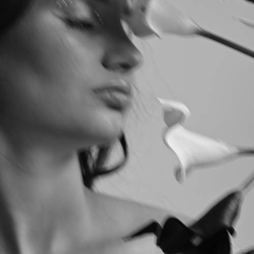 Photo #12209866