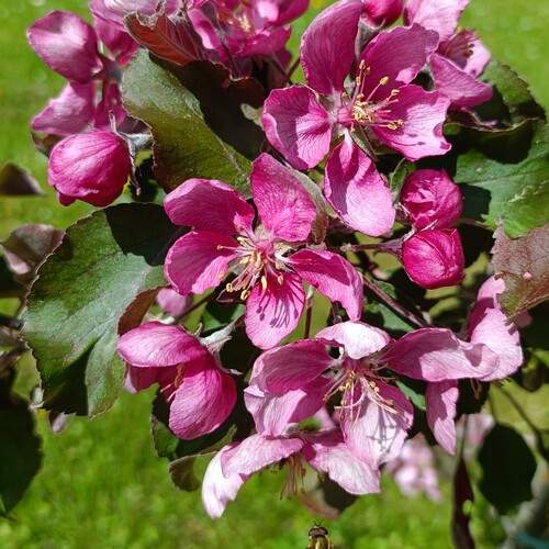 Photo #12209931