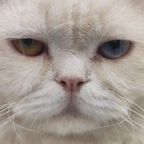 Photo #12209962