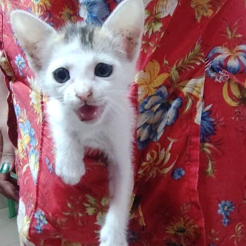 Photo #12209996