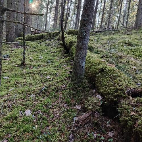 Photo #12210089