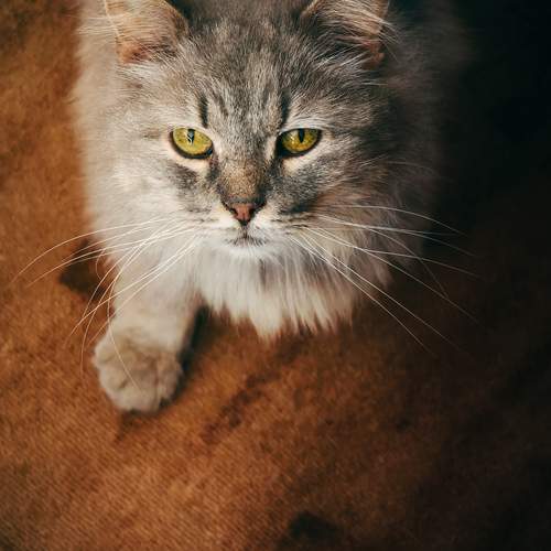 Photo #12210170