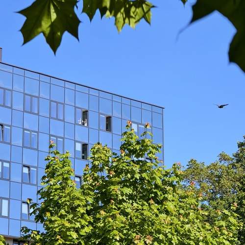 Photo #12210305