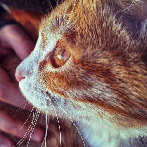 Photo #12210434