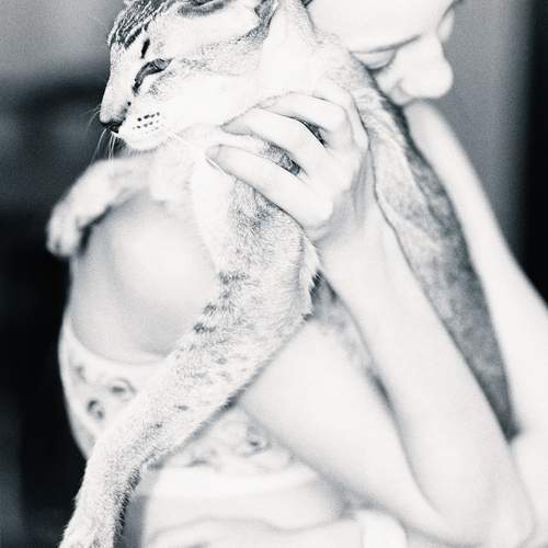 Photo #12210457